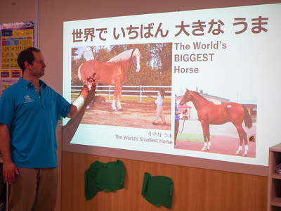 馬の学習
