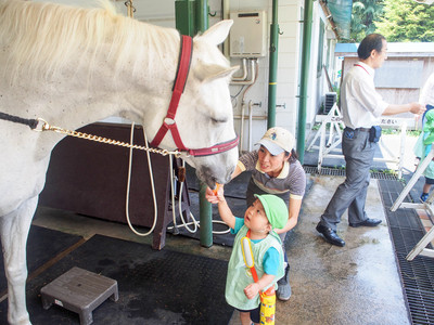 馬の博物館