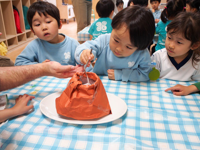 Volcano Experiment