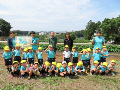 daikon radish planting