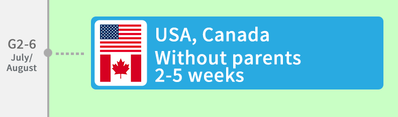 USA, Canada, Without parents, 2-5 weeks