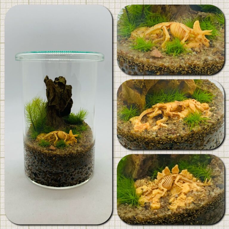 Jurassic terrarium-making kit product image